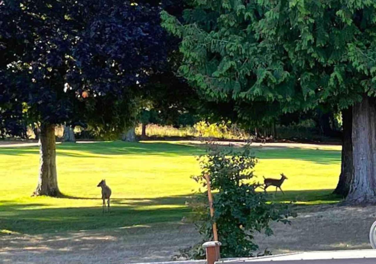 Oceanside Manor - Golf Course View Bed & Breakfast Qualicum Beach Exterior foto